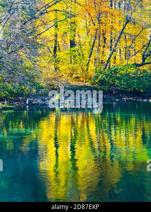 See-Küste Reflexion Herbstliche Landschaft im Nationalpark Plitvicer Seen Gelegen in Kroatien Europa Natur natürliche Stille Stockfoto