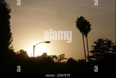 South Pasadena, Kalifornien, USA 26. Oktober 2020 EIN allgemeiner Blick auf die Atmosphäre von Sonnenuntergang und Palme am 26. Oktober 2020 in South Pasadena, Kalifornien, USA. Foto von Barry King/Alamy Stockfoto Stockfoto