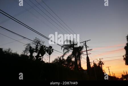 South Pasadena, Kalifornien, USA 26. Oktober 2020 EINE allgemeine Ansicht der Atmosphäre von Sonnenuntergang und Palmen am 26. Oktober 2020 in South Pasadena, Kalifornien, USA. Foto von Barry King/Alamy Stockfoto Stockfoto