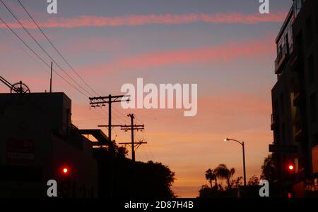 South Pasadena, Kalifornien, USA 26. Oktober 2020 EINE allgemeine Ansicht der Atmosphäre von Sonnenuntergang und Palmen am 26. Oktober 2020 in South Pasadena, Kalifornien, USA. Foto von Barry King/Alamy Stockfoto Stockfoto