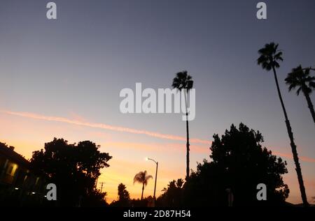 South Pasadena, Kalifornien, USA 26. Oktober 2020 EINE allgemeine Ansicht der Atmosphäre von Sonnenuntergang und Palmen am 26. Oktober 2020 in South Pasadena, Kalifornien, USA. Foto von Barry King/Alamy Stockfoto Stockfoto