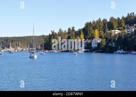 Friday Harbor, San Juan Island, Washington - USA Stockfoto