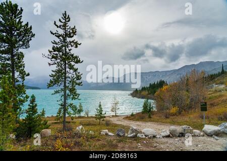 Blick auf die Landschaft am Abraham Seeufer in der Herbstsaison. Jasper National Park, Alberta, Kanada. Stockfoto