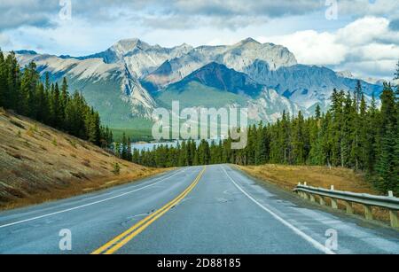 Landstraße im Wald mit Bergen im Hintergrund. Alberta Highway 11 (David Thompson Highway) entlang des Abraham Lake Ufers. Jasper National Park Stockfoto