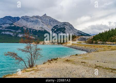 Landstraße im Wald mit dem Michener im Hintergrund. Alberta Highway 11 (David Thompson Highway) entlang des Abraham Lake Ufers. Jasper National Stockfoto