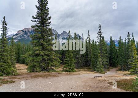 Siffleur Falls Trailhead in Kootenay Plains Ecological Reserve, Ex Coelis Mountain im Hintergrund. Jasper National Park, Alberta, Kanada. Stockfoto