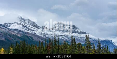 Schneebedeckter Cirrus Mountain im Spätherbst. Vom Icefields Parkway (Alberta Highway 93) aus gesehen, Jasper National Park, Kanada. Stockfoto