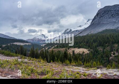 Schneebedeckte Berge im Spätherbst. Vom Icefields Parkway (Alberta Highway 93) aus gesehen, Jasper National Park, Kanada. Stockfoto