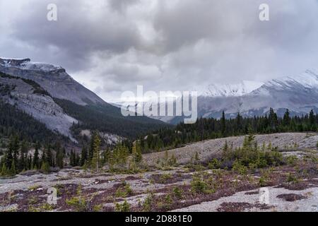 Schneebedeckte Berge im Spätherbst. Vom Icefields Parkway (Alberta Highway 93) aus gesehen, Jasper National Park, Kanada. Stockfoto