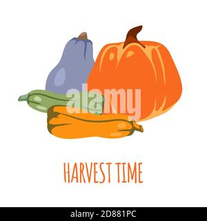 Erntezeit Kürbis, bunte Postkarte Einladung Herbst Stimmung. Grußkarte mit orange gezeichneten Kürbissen. Vorlage Banner und Poster für Thanksgiving oder Halloween Feier. Vektorgrafik Stock Vektor