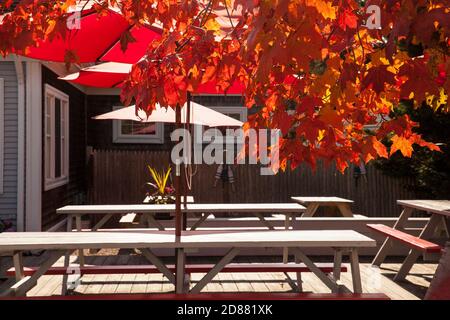 Herbstspeisemöglichkeiten in Cape Cod, Massachusetts. Stockfoto