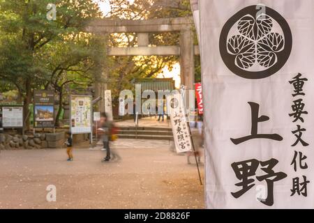 tokio, japan - oktober 20 2020: Wimpel mit dem Wappen der Tokugawa Shoguns am steinernen Torii-Tor des Ueno Tōshō-gū-Schreines, das dem ersten Shog gewidmet ist Stockfoto