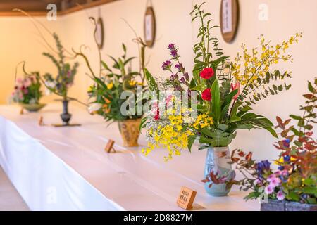 shibuya, japan - november 02 2019: Ausstellung japanischer Ikebana-Blumenkunst im Innenhof des Shinto Meiji-Jingu Shrine während der Gedenkfeier Stockfoto