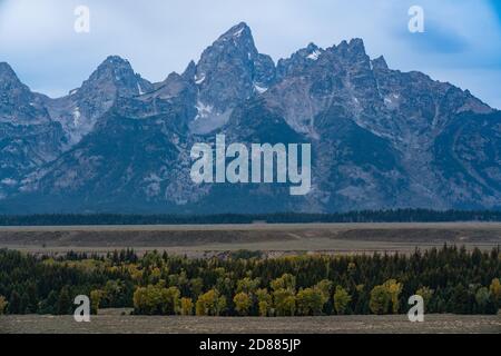 Herbstfarbe in Jackson Hole unter Grand Teton und der Teton Range im Grand Teton National Park in Wyoming, USA. Stockfoto