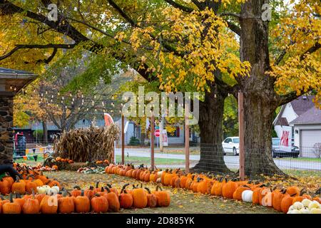 Kürbisse zum Verkauf auf dem Cedar Creek Produce Market in Leo-Cedarville, Indiana, USA. Stockfoto