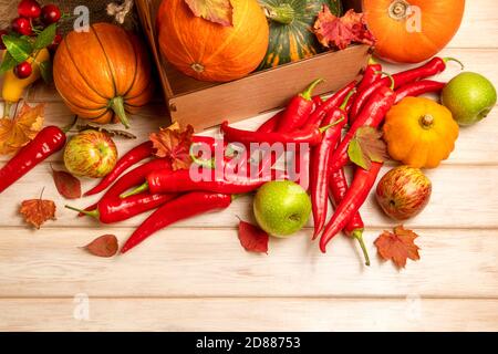 Rote scharfe Chilischoten und Herbstgemüse Kürbisse, grüne Äpfel, Kirsche und Herbstblätter Draufsicht Stockfoto