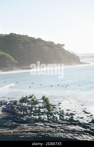 Noosa, Sunshine Coast, Australien Stockfoto