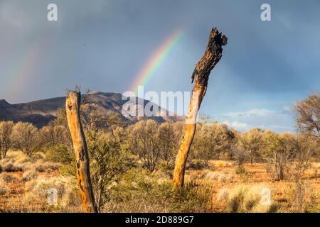 Regenbogen und Cumulonimbus Gewitterwolken über Mt Sonder / Rwetyepme (1380m) , Tjoritja / West McDonnell Ranges National Park Stockfoto