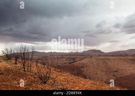 Cumulonimbus Sturm Wolken und Regen über den West MacDonnell Ranges / Tjoritja, Zentralaustralien Stockfoto