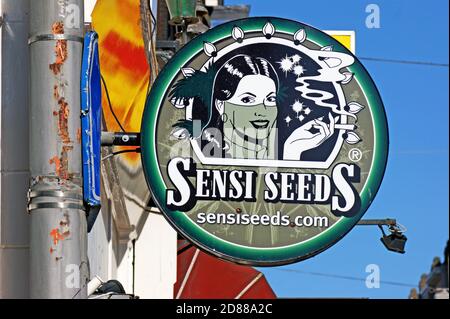 Sensi Seeds, gegründet 1985, ist die weltweit größte Cannabis-Saatgutbank mit über 500 Sorten genetischer Vielfalt. Stockfoto