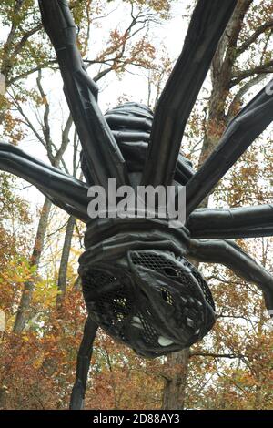 Maman, eine Spinnenskulptur im Freien von Louise Bourgeois, im Crystal Bridges Museum, Bentonville, Arkansas Stockfoto