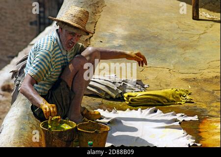 Ein alter marokkanischer Mann färbt Rawhide eine leuchtend gelbe Farbe als Teil des Lederproduktionsprozesses in der Chouara Tannery in Fez, Marokko. Stockfoto