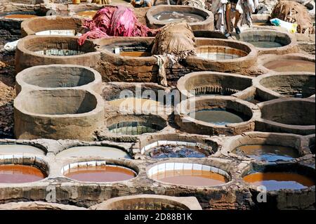 In der Chouara-Gerberei in Fez, Marokko, werden die Häute für die Lederindustrie weich und gefärbt. Stockfoto