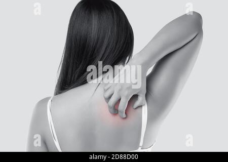 Eine Frau, die sich durch Juckreiz am Rücken kratzt. Weibchen mit empfindlicher Haut auf grauem Hintergrund. Das Konzept der Allergiesymptome und Gesundheitsversorgung. Stockfoto