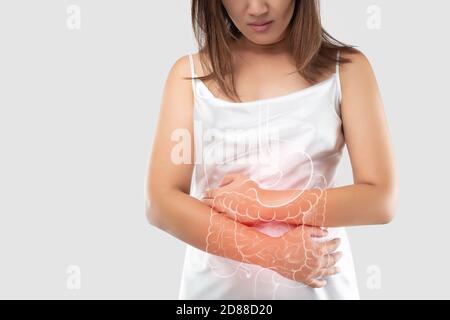 Darstellung des Darms und der inneren Organe im Frauenkörper vor grauem Hintergrund und Space links. Das Konzept der medizinischen Behandlung Stockfoto