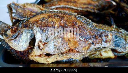 Gebratener Mosambik Tilapia Fisch. Bereit zum Essen. Stockfoto