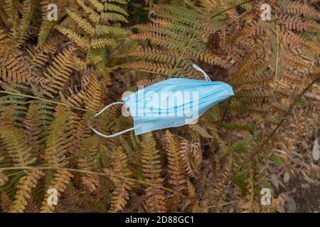 Blaue OP-Maske im Wald zurückgelassen, Verschmutzung. Stockfoto