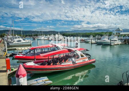 Die Ausflugsboote liegen im Crystalbrook Superyacht Marina Port Douglas, North Queensland, Australien Stockfoto