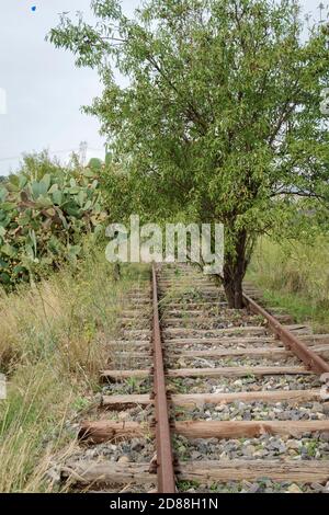 Catania, Landseite, Sizilien, Italien, Baumwachstum die Spuren einer alten verlassenen Eisenbahn Stockfoto