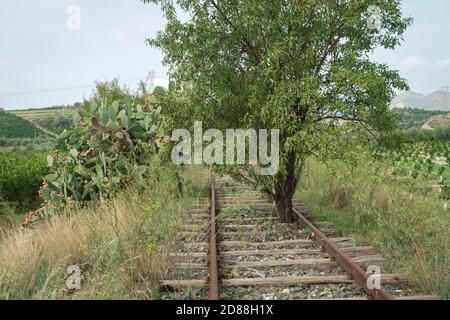 Catania, Landseite, Sizilien, Italien, Baumwachstum die Spuren einer alten verlassenen Eisenbahn Stockfoto