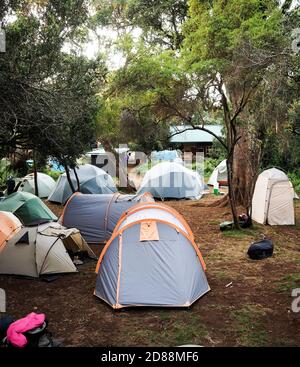 Camping Zelte rund um das erste Lager der lemosho Route verstreut. Guides Träger und sherpas besteigen den kilimanjaro Stockfoto