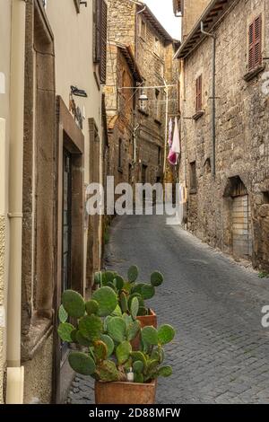 Es ist leicht, sich in den mittelalterlichen Straßen von Viterbo, der antiken Stadt der Päpste, zu verlaufen. Stockfoto