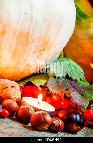 Konzept der Herbsternte mit Kürbissen, Äpfeln, Walnüssen, Kastanien, Eberesche, Viburnum, gefallenen Blättern, mit brennenden Kerzen auf dem alten Holzhintergr Stockfoto