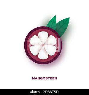 Isolierte Mangostanfrüchte. Zwei ganze Früchte und eine halb isoliert auf weißem Hintergrund mit Beschneidungspfad Stock Vektor