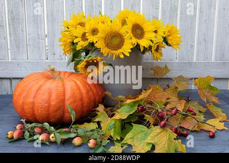 Ein großer, orangefarbener Kürbis, nahe gelegene Ahornblätter und ein Bukett aus gelben Sonnenblumenblüten in einem Eimer stehen auf dem Tisch, im Freien. Herbsthintergrund. Hochwertige Fotos Stockfoto