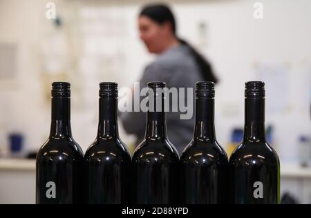 Sydney. Oktober 2020. Das Foto vom 23. Oktober 2020 zeigt Weine in der First Creek Factory in Hunter Valley, New South Wales, Australien. MIT 'Aussie Weinmacher Toasts Erfolg trotz schwierigem Jahr' Credit: Bai Xuefei/Xinhua/Alamy Live News Stockfoto