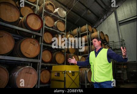 Sydney. Oktober 2020. Das am 23. Oktober 2020 aufgenommene Foto zeigt den ersten kommerziellen Manager von Creek, Justin McCarthy, der die Weinfabrik in Hunter Valley, New South Wales, Australien, vorstellt. MIT 'Aussie Weinmacher Toasts Erfolg trotz schwierigem Jahr' Credit: Bai Xuefei/Xinhua/Alamy Live News Stockfoto