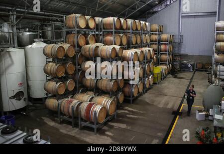 Sydney. Oktober 2020. Das Foto vom 23. Oktober 2020 zeigt die First Creek Factory in Hunter Valley, New South Wales, Australien. MIT 'Aussie Weinmacher Toasts Erfolg trotz schwierigem Jahr' Credit: Bai Xuefei/Xinhua/Alamy Live News Stockfoto