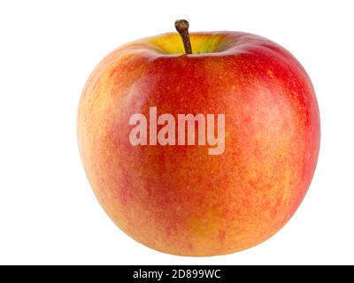 Roter und gelber Apfel isoliert auf weißem Hintergrund schattenlos Stockfoto