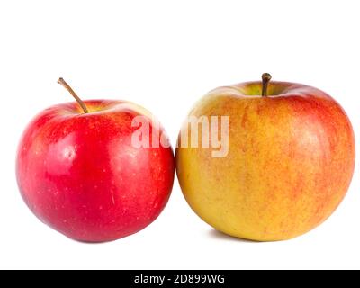 Ein paar rote und gelbe Äpfel isoliert auf weißem Hintergrund Stockfoto