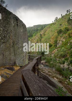 Passadiços do Paiva Holzwege neben dem wilden Fluss Paiva Stockfoto