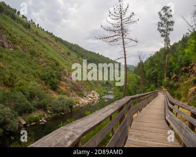 Passadiços do Paiva Holzwege neben dem wilden Fluss Paiva Stockfoto