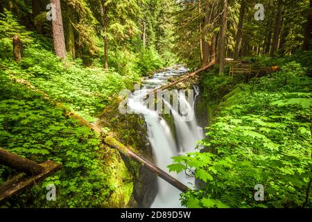 Sol Duc fällt in Olympic National Park, Washington, USA. Stockfoto