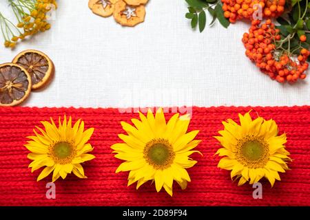 Layout auf weißem Hintergrund, rote Kugeln, gelbe Blumen, Sonnenblumen, Eberesche, trockene Früchte. Herbsthintergrund. Hochwertige Fotos Stockfoto