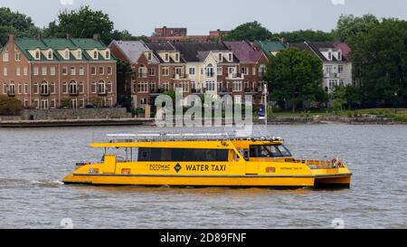 Ein hellgelbes Potomac Riverboat Company Wassertaxi vor Ford's Landing in Alexandria, Virginia Stockfoto