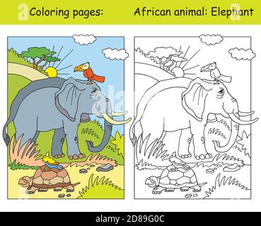 Vektor-Malvorlagen mit niedlichen Elefanten in afrikanischen Bereich. Cartoon isoliert bunte Illustration. Färbung und farbige Bild von Elefant. Zum Färben Stock Vektor